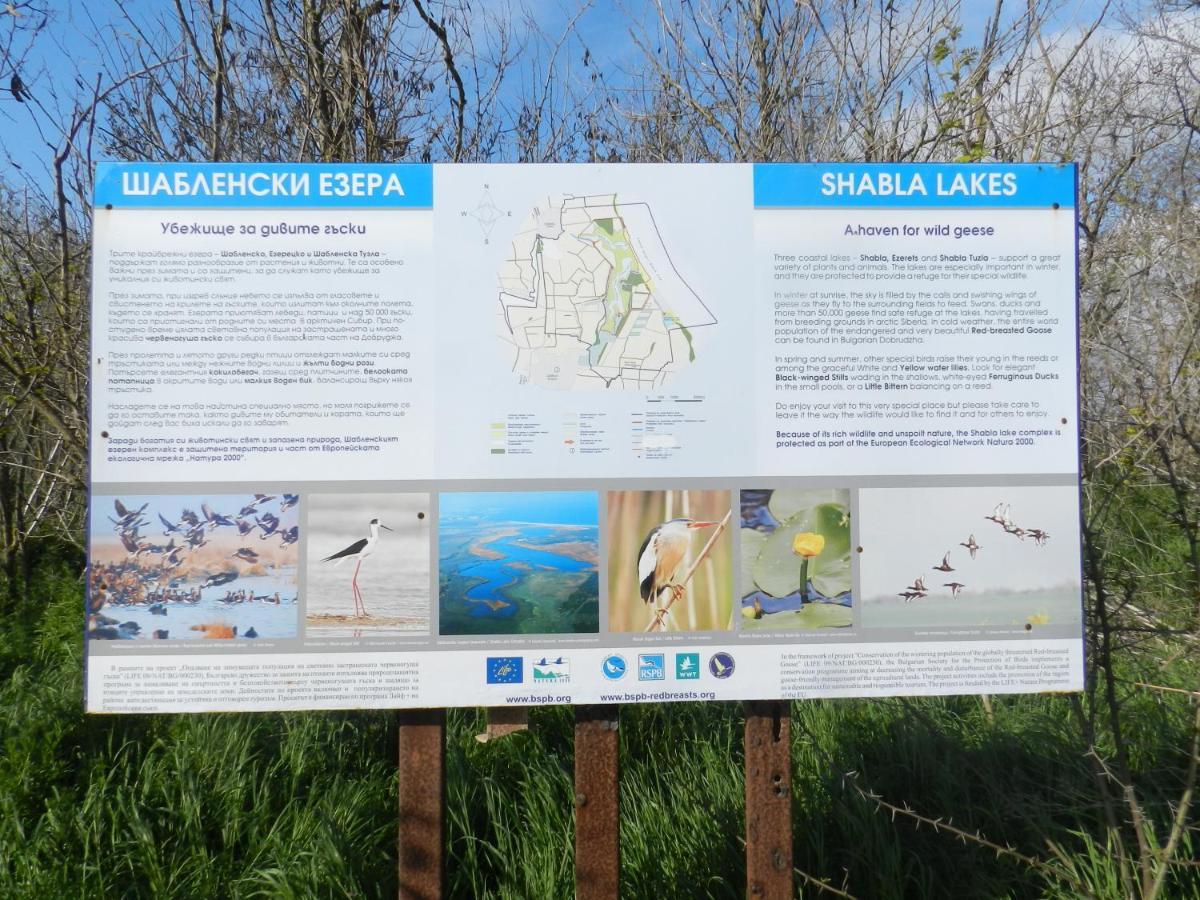 Villa Campo Ezerets Eksteriør billede